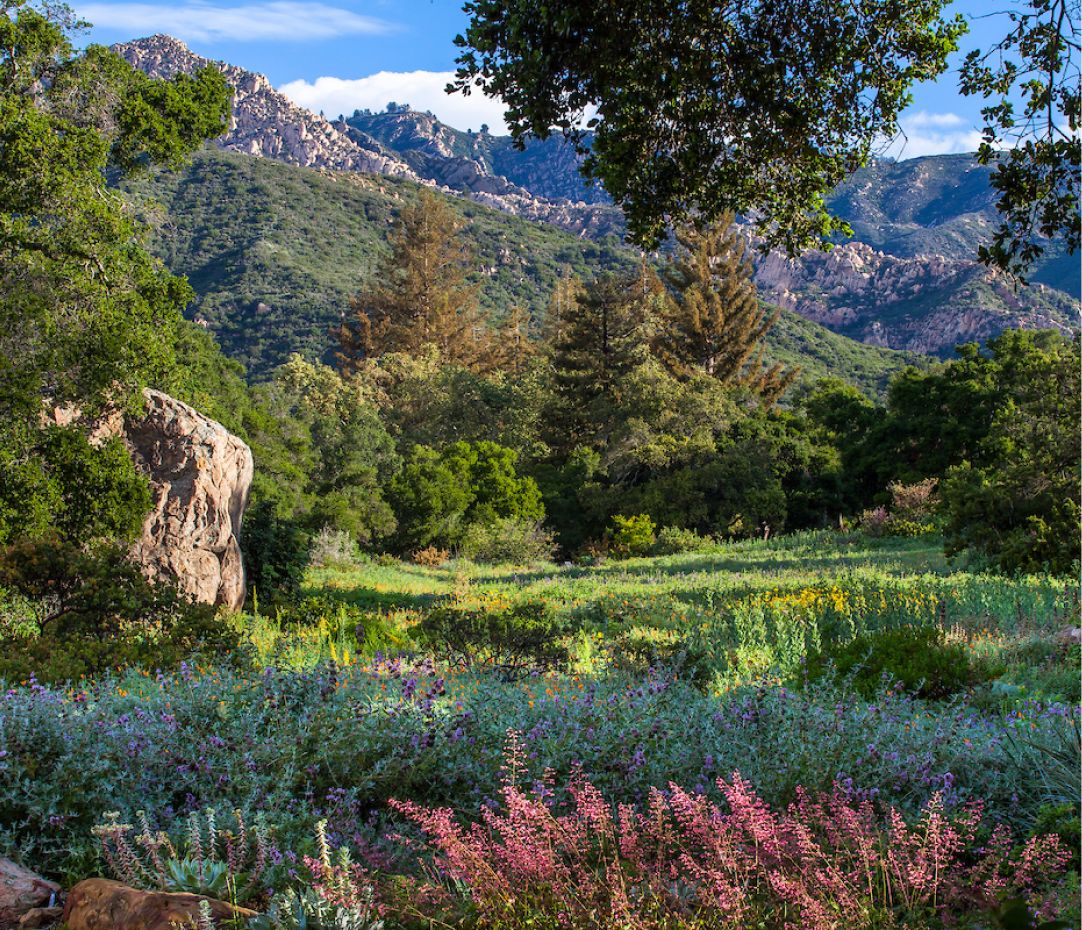 Gadan at The Katharine Hepburn Cultural Arts Center, 4 February | Event in Old Saybrook | AllEvents