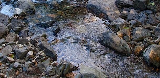 Accessible Adventures: Quiet Sounds of Natural History, 5 February | Event in Rockford | AllEvents