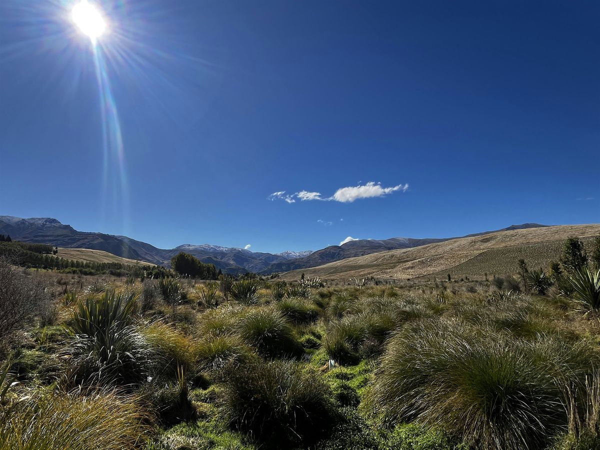 Community working bee - Slopehill Reserve, 9 December | Event in Queenstown | AllEvents
