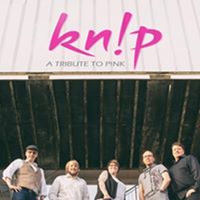knip - A tribute to Pink