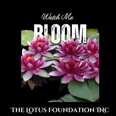 The Lotus Foundation INC