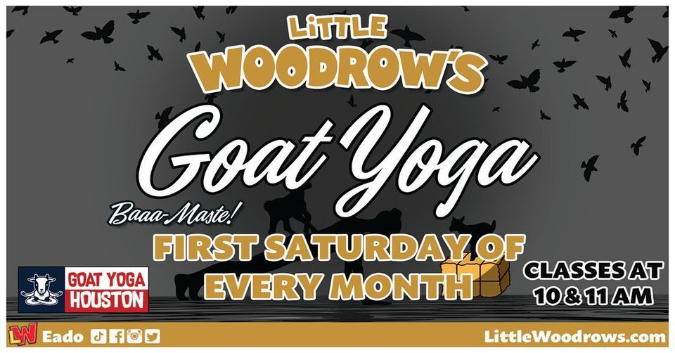 Goat Yoga at Little Woodrows EaDo , Little Woodrow's EaDo, Houston, 2