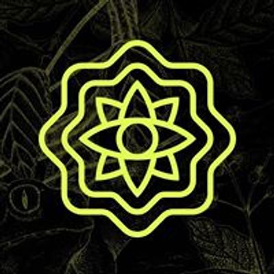 Ayahuasca Chihuahua - Medicinas Ancestrales