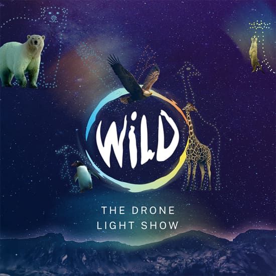 WILD: The Drone Light Show - Bristol, 20 December | Event in Bristol | AllEvents