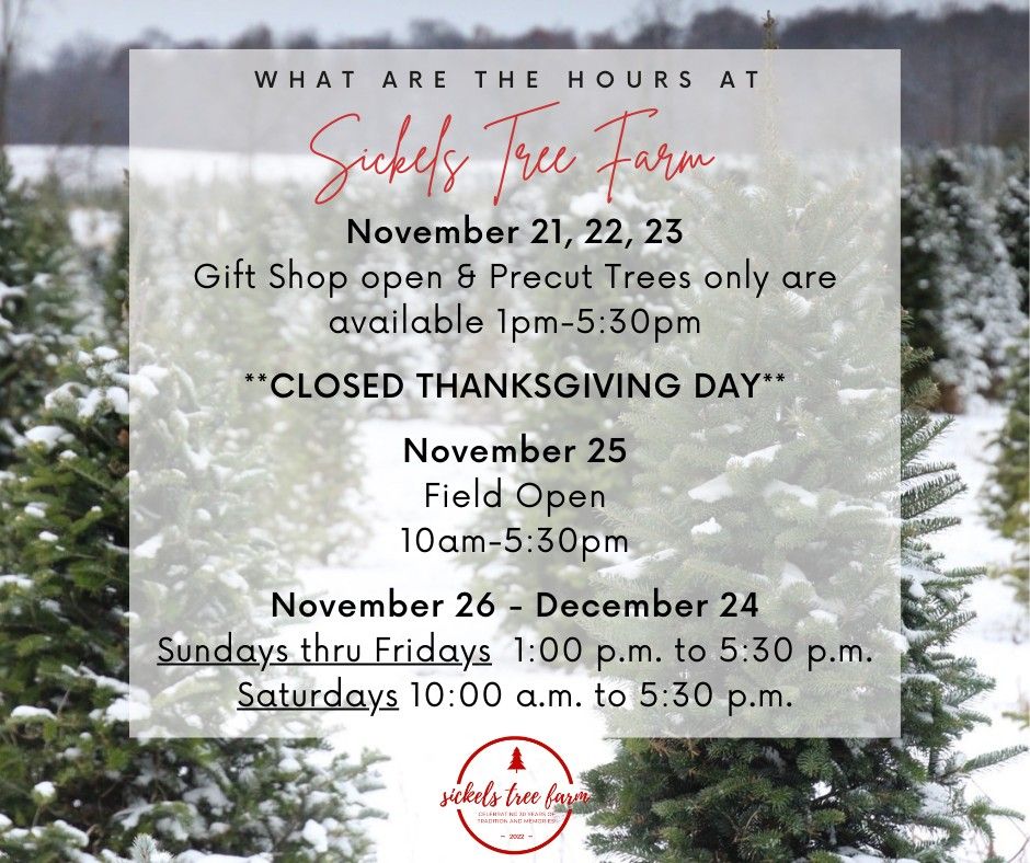 Sickels Tree Farm Light Show, Sickels Tree Farm, Lynn, December 17 2022