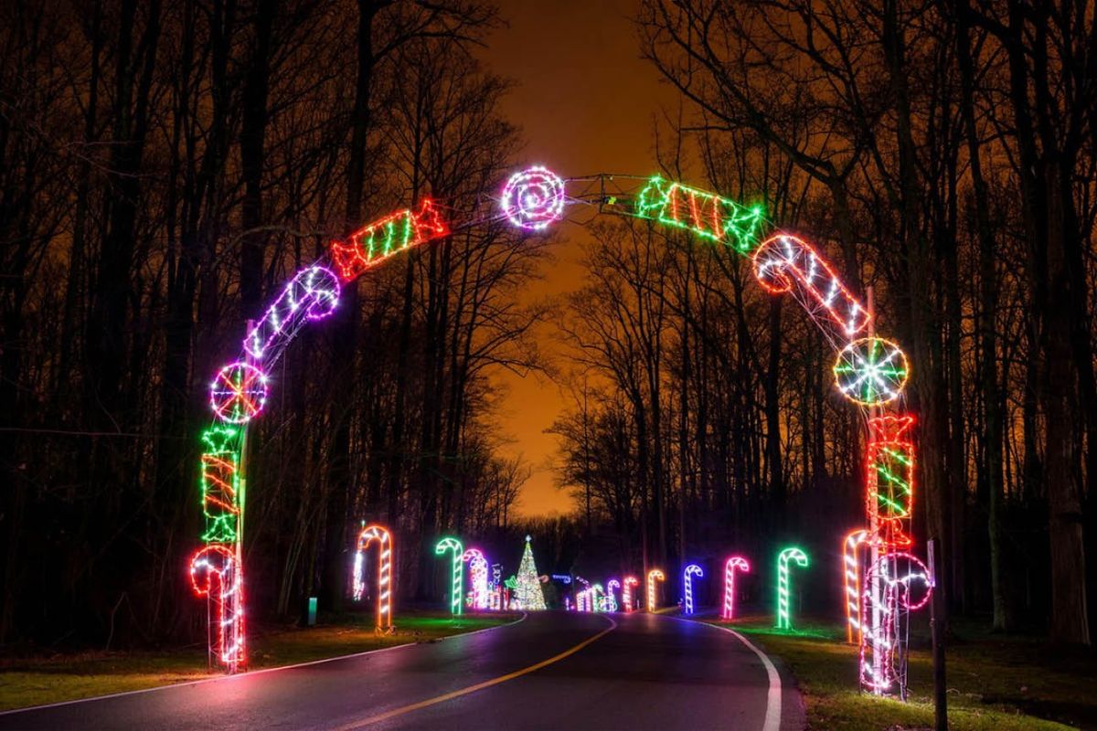 Barefoot Puppets: Galapagos George, 30 January | Event in Hampton | AllEvents