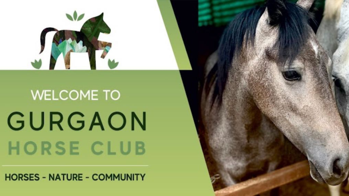 Gurgaon Horse Club | Event in Gurgaon | AllEvents