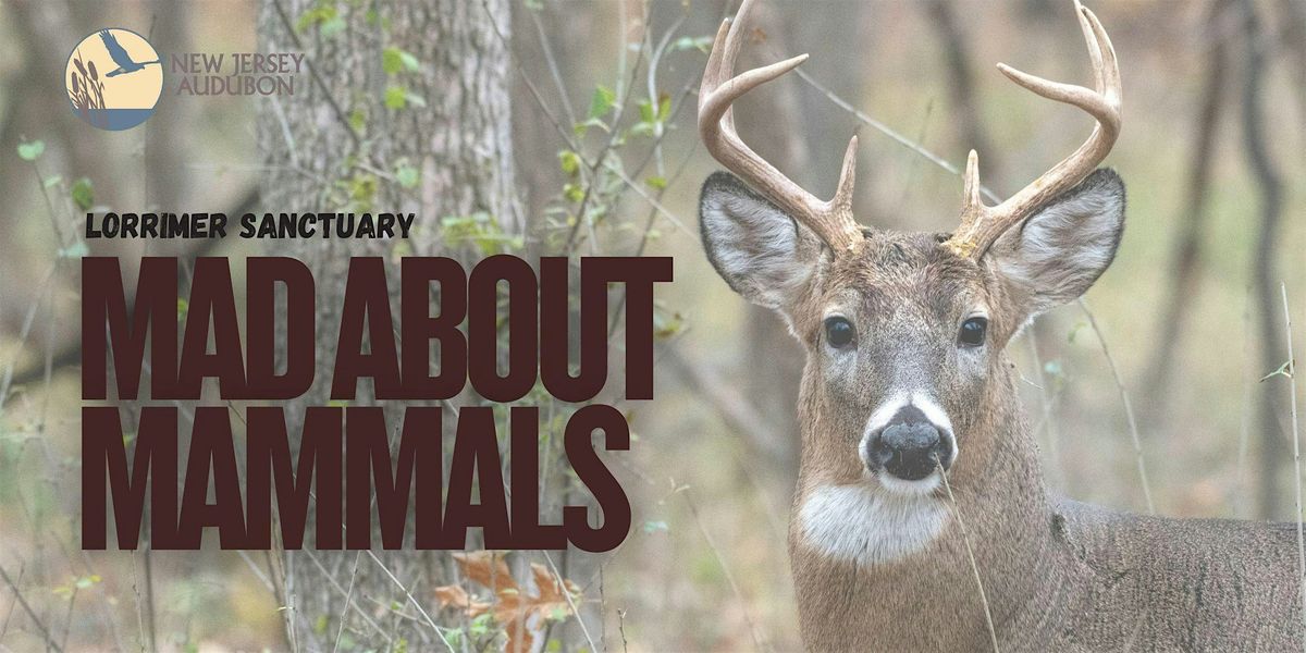 Mad About Mammals, 17 January | Event in Franklin Lakes | AllEvents