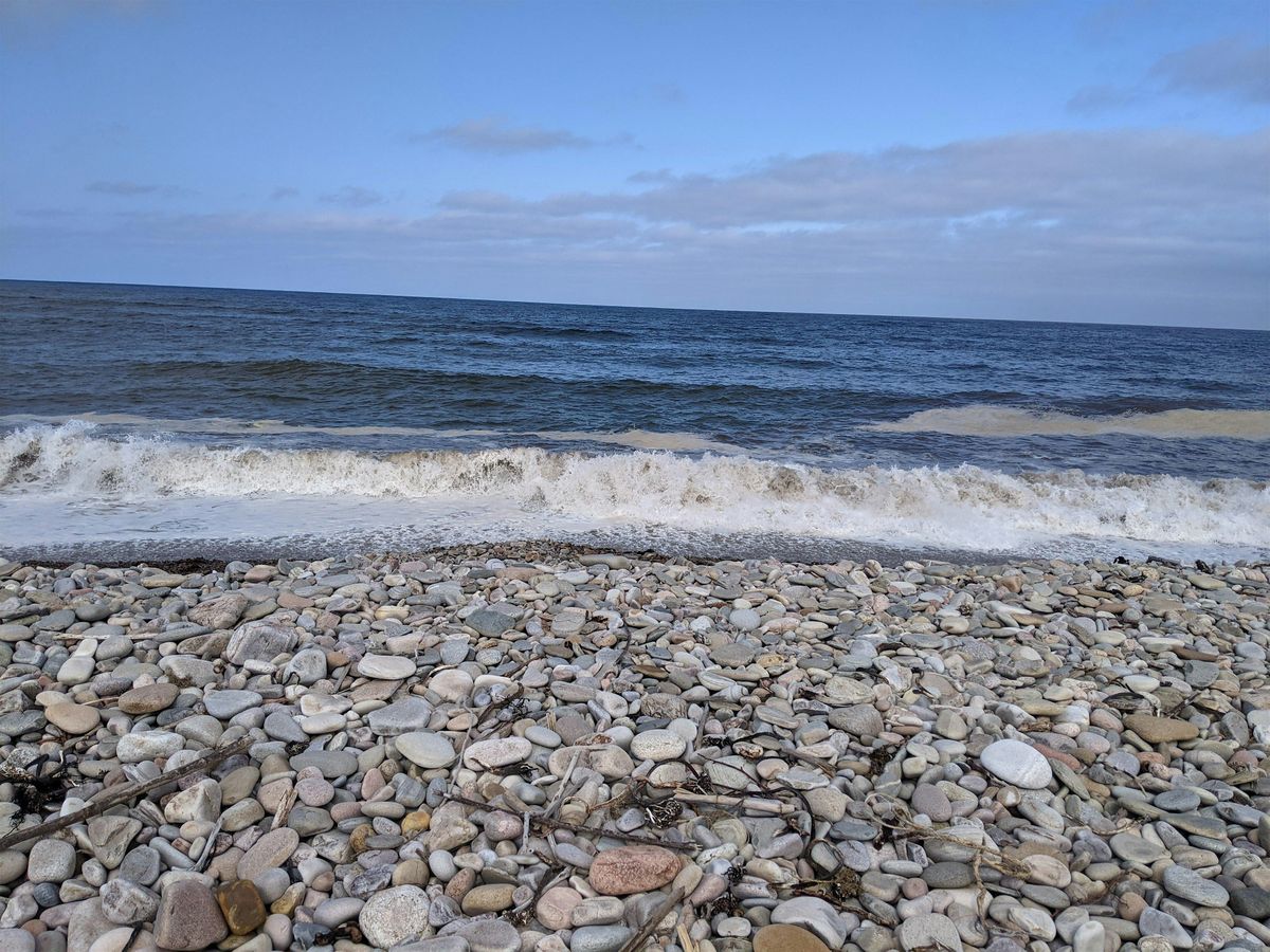 Marine Citizen Science Creative Workshop with PHD Student, 30 November | Event in Findhorn | AllEvents