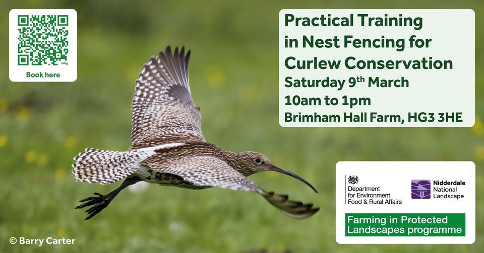 Practical Training in Nest Fencing for Curlew Conservation, Brimham