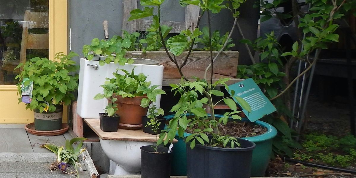 Growing Vegetables in Containers, 18 April | Event in Victoria | AllEvents