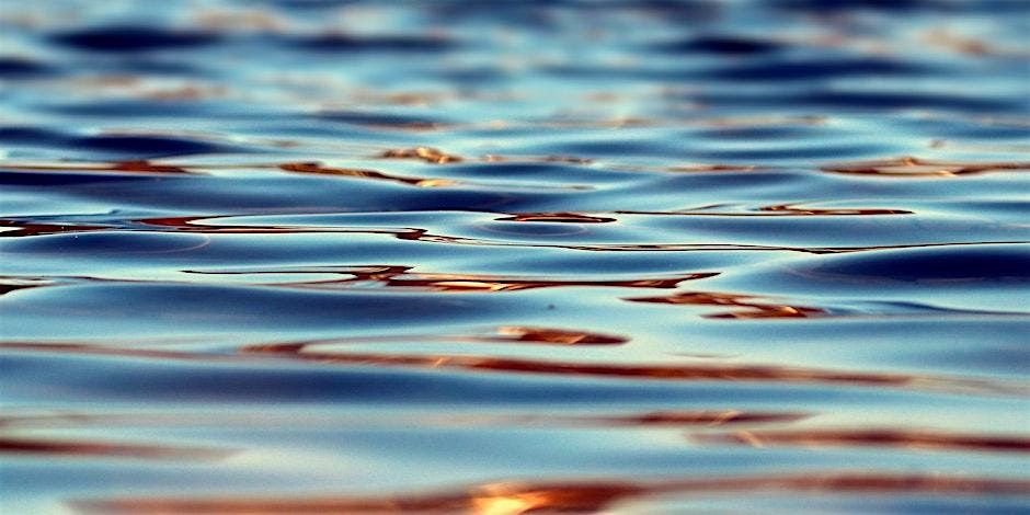 Ngā Kare-a-Roto | Taranaki Thought Space Wānanga