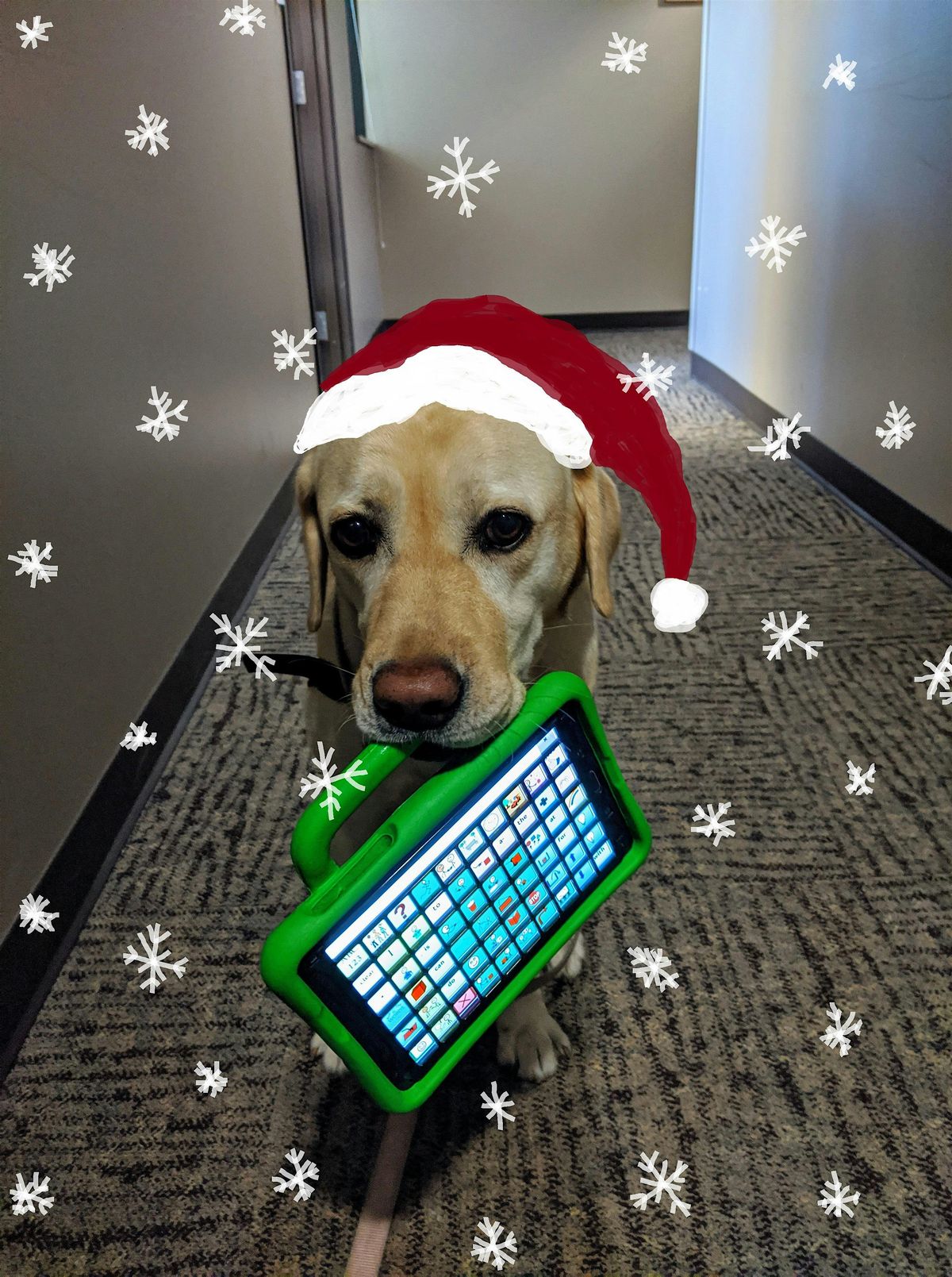 Holiday Shopping with AAC 2025, 14 December | Event in Firestone | AllEvents