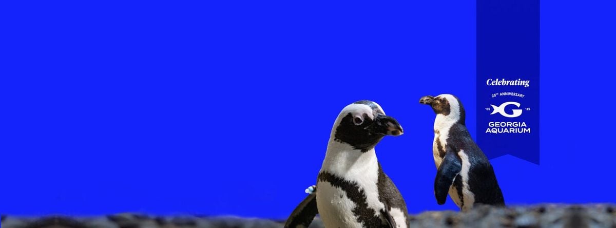 GA-20, 2 September | Event in Morro Bay | AllEvents
