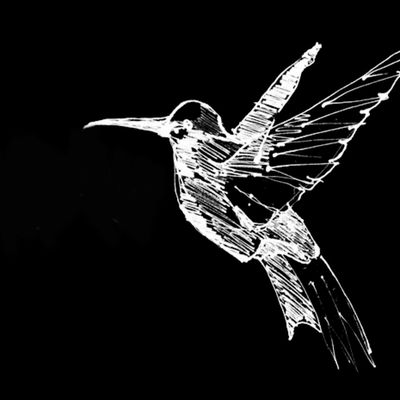 Hummingbird's Photography logo