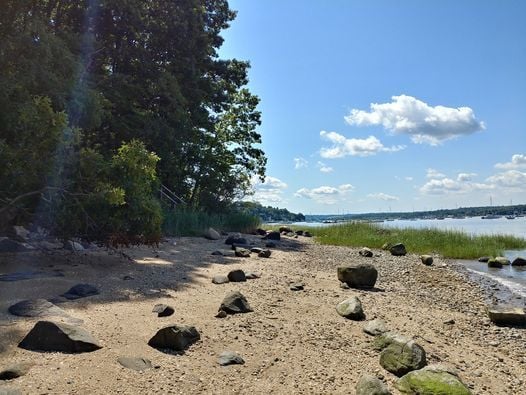 Beach Exploration Garvies Point Museum And Preserve Glen Cove July 31 2021 Allevents In