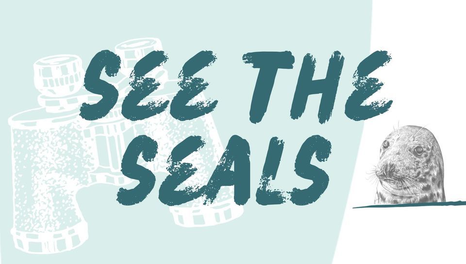 Seal Sunday, St Abb's Head National Nature Reserve NTS, Wooler