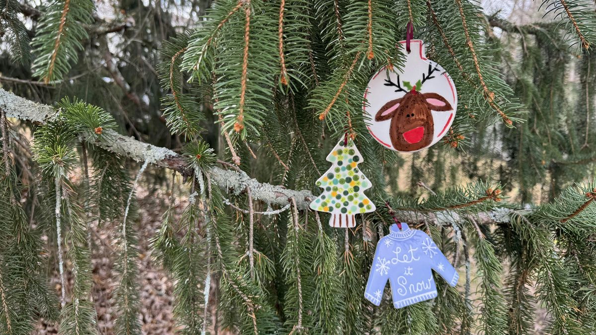 Pottery with  Pårådisu - Swamp Rabbit Brewery Ornament Painting, 9 December | Event in Travelers Rest | AllEvents