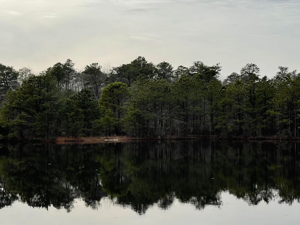 Search Party On Harbor Avenue for Tracy Faulkner, Harbor Avenue