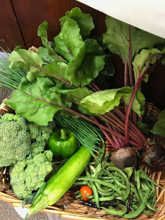 Community Supported Agriculture At Winona Friendship Center Winona