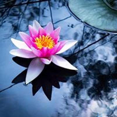 Skandinavisk Yoga och Meditationsskola - Göteborg