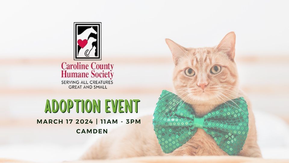 Camden Adoption Event , Yarn & Bone Pet Supply, Camden Wyoming, March