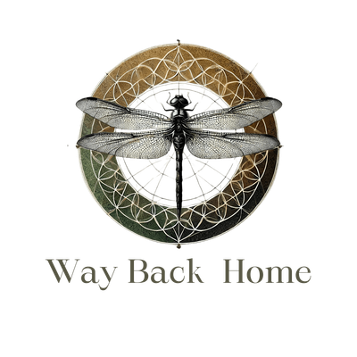 Way Back Home | EcoNIDRA logo
