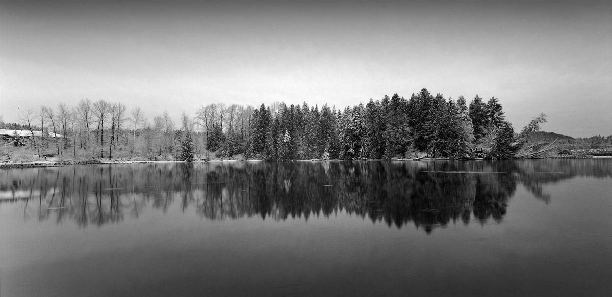 Sunday Sunrise Photo Walk on Port Moody’s Inlet Trail, Landscapes, Birds, 21 December | Event in Port Moody