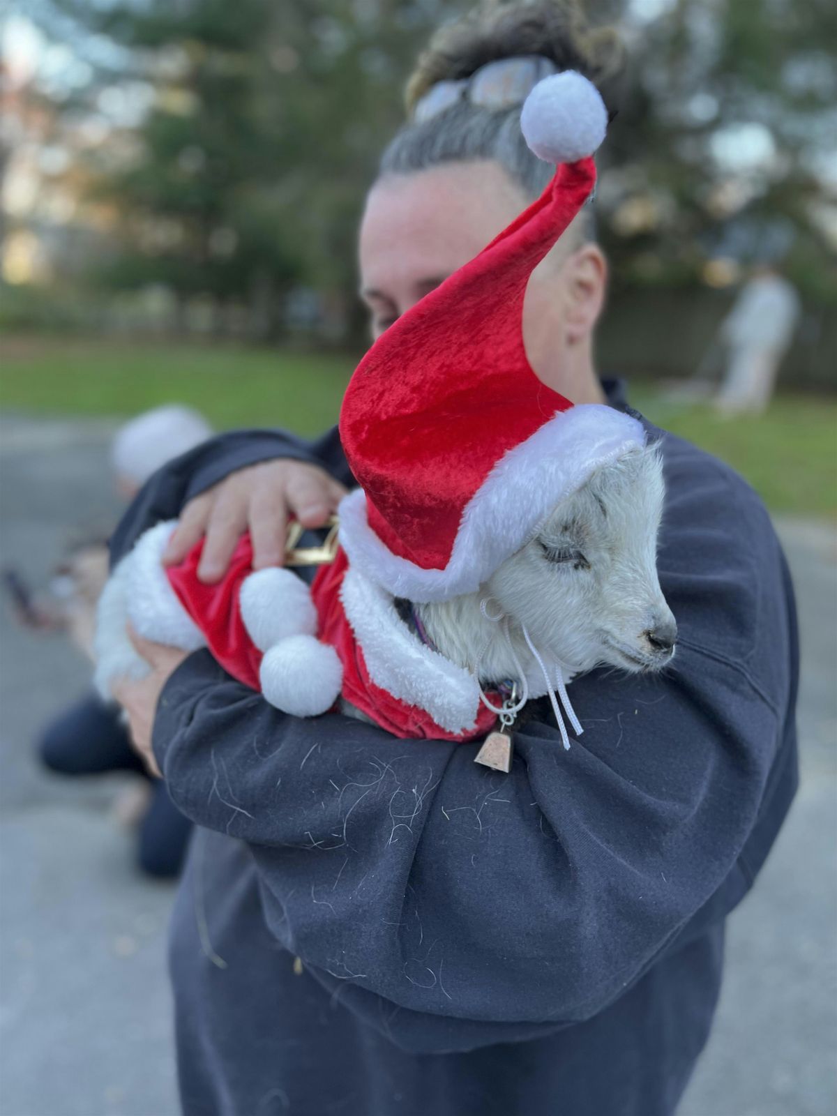 Open Farm Day and Selfies with Elfies  - Meet the Goats | Event in Washington Depot | AllEvents