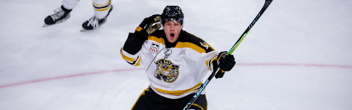 Waterloo Black Hawks at Madison Capitols at Bob Suters Legacy20 Arena Middleton, 16 January | Event in Middleton