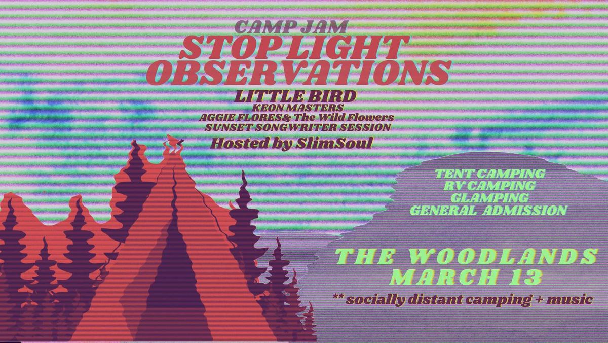 Stop Light Observations, 7 March | Event in Richmond | AllEvents