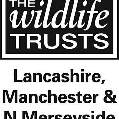The Wildlife Trust for Lancashire, Manchester and North Merseyside logo