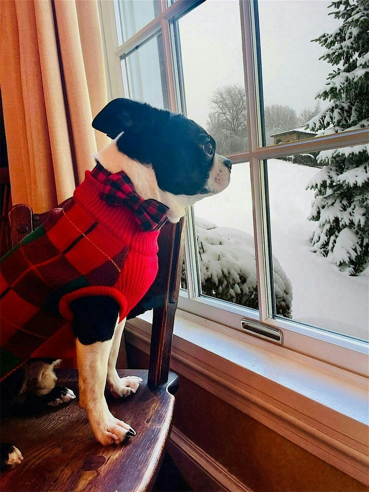 Cozy up to new windows- Free Window & Door Design Event! Dine & Learn!, 8 December | Event in Wilsonville