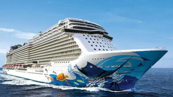 🚢🎵🥳Let's Get Our Mardi Gras On & then Escape to the Caribbean!🎵🛳🎇, 8 March | AllEvents