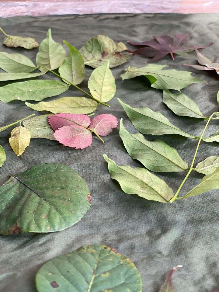 Eco Printing, Conklin Farmhouse & Barn, Huntington, November 14 2023