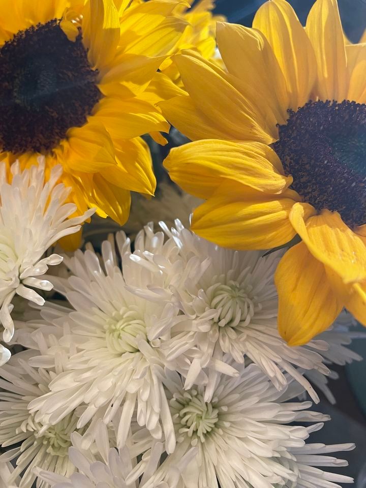 May Porch Party , 5806 N Branch Ave, Tampa FL, May 20 2023 AllEvents.in