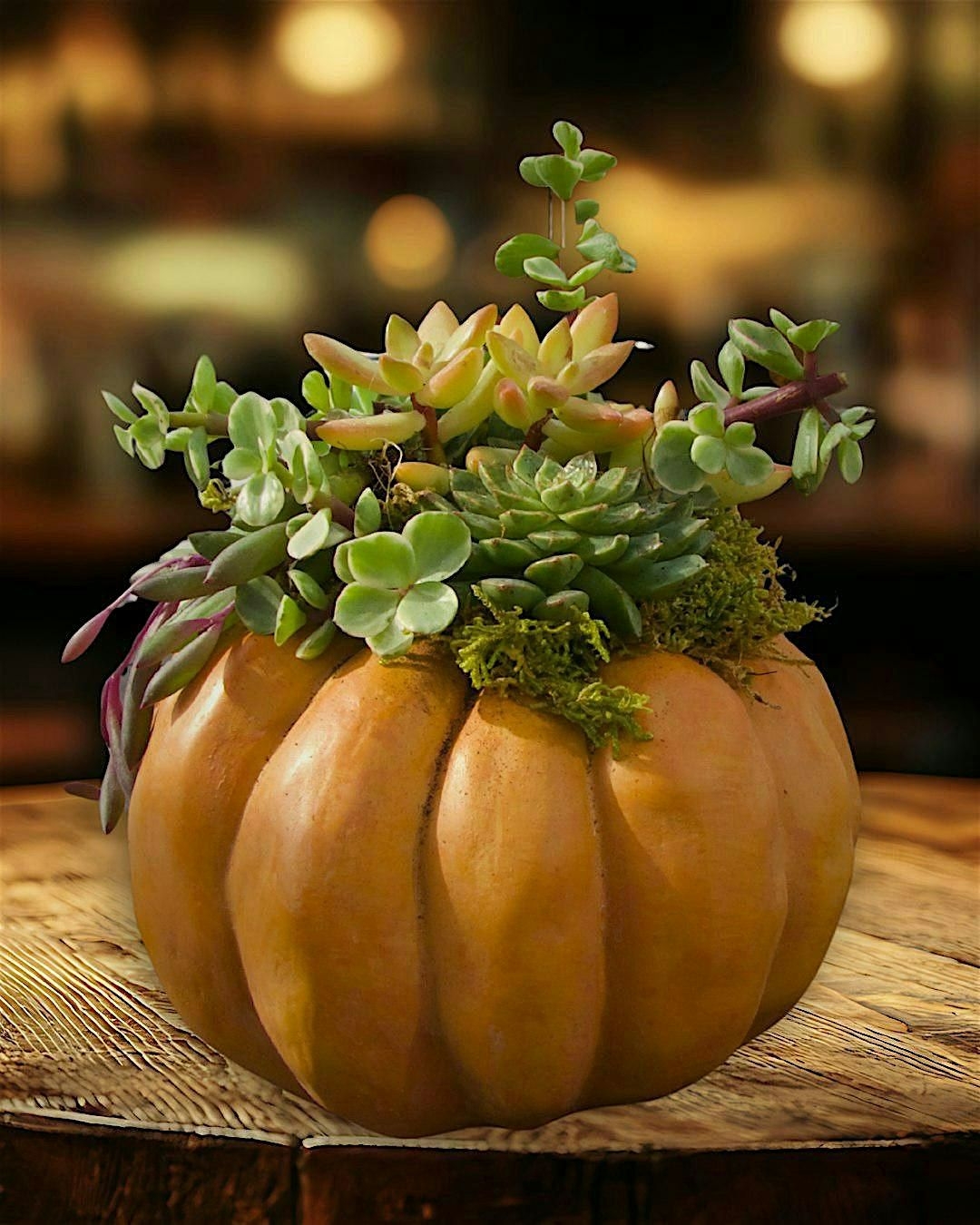 Succulent Pumpkins Workshop
