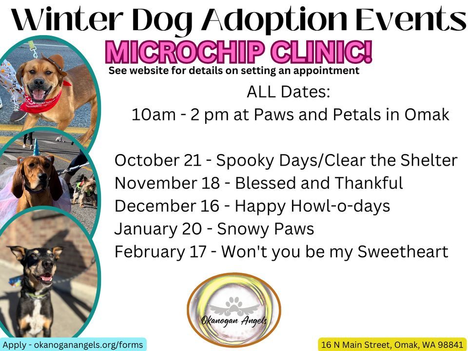 Happy Howlodays Adoption Event, Paws and Petals, Omak, December 16
