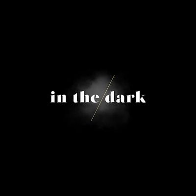in the dark logo