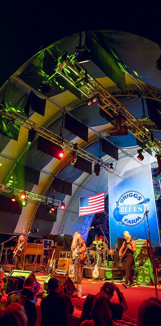 Briggs Farm Blues Festival - Friday, 10 July | Event in Nescopeck | AllEvents