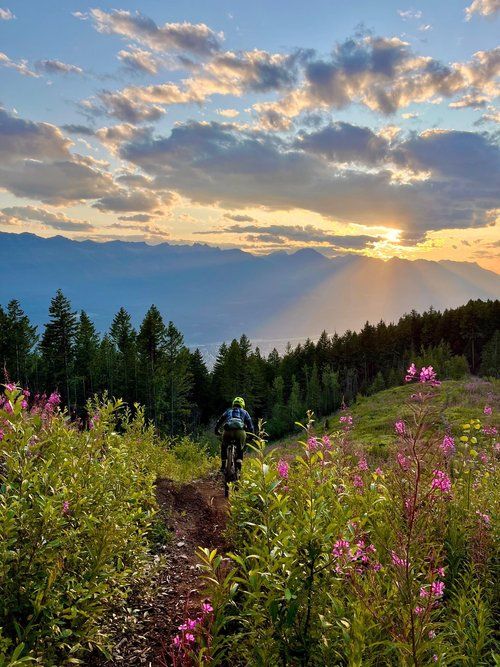 (DNM) Dermoneuromodulating course for manual therapists taught by