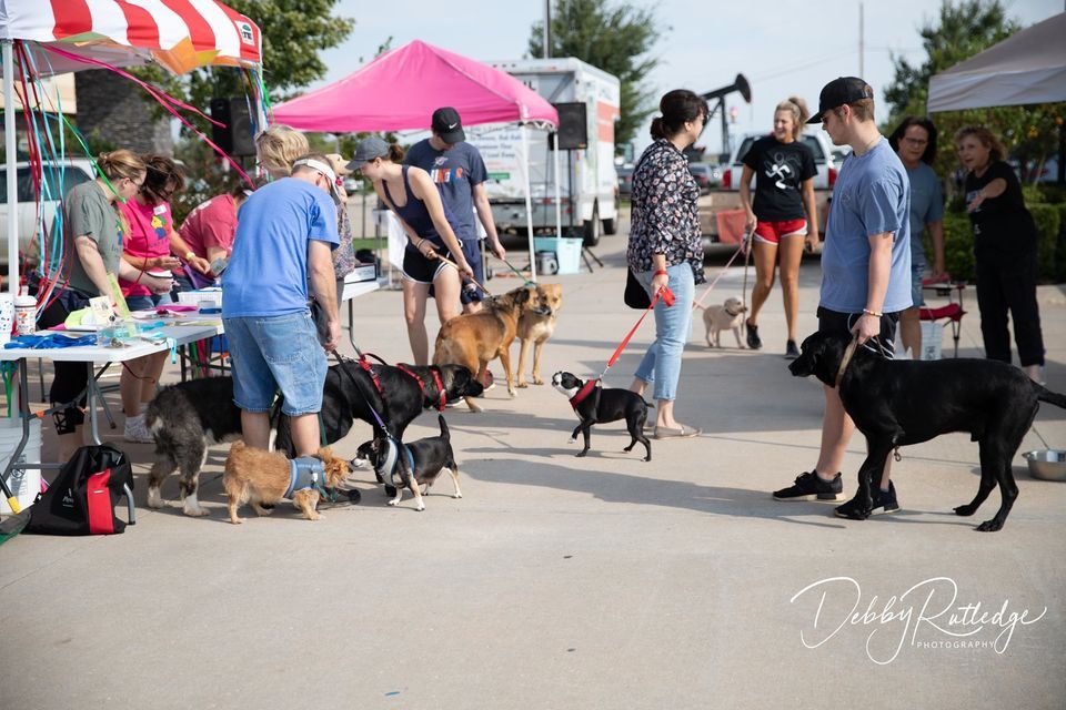 Pawsitively Pampered 12th Annual Dog Wash & Vendor Event, Yukon