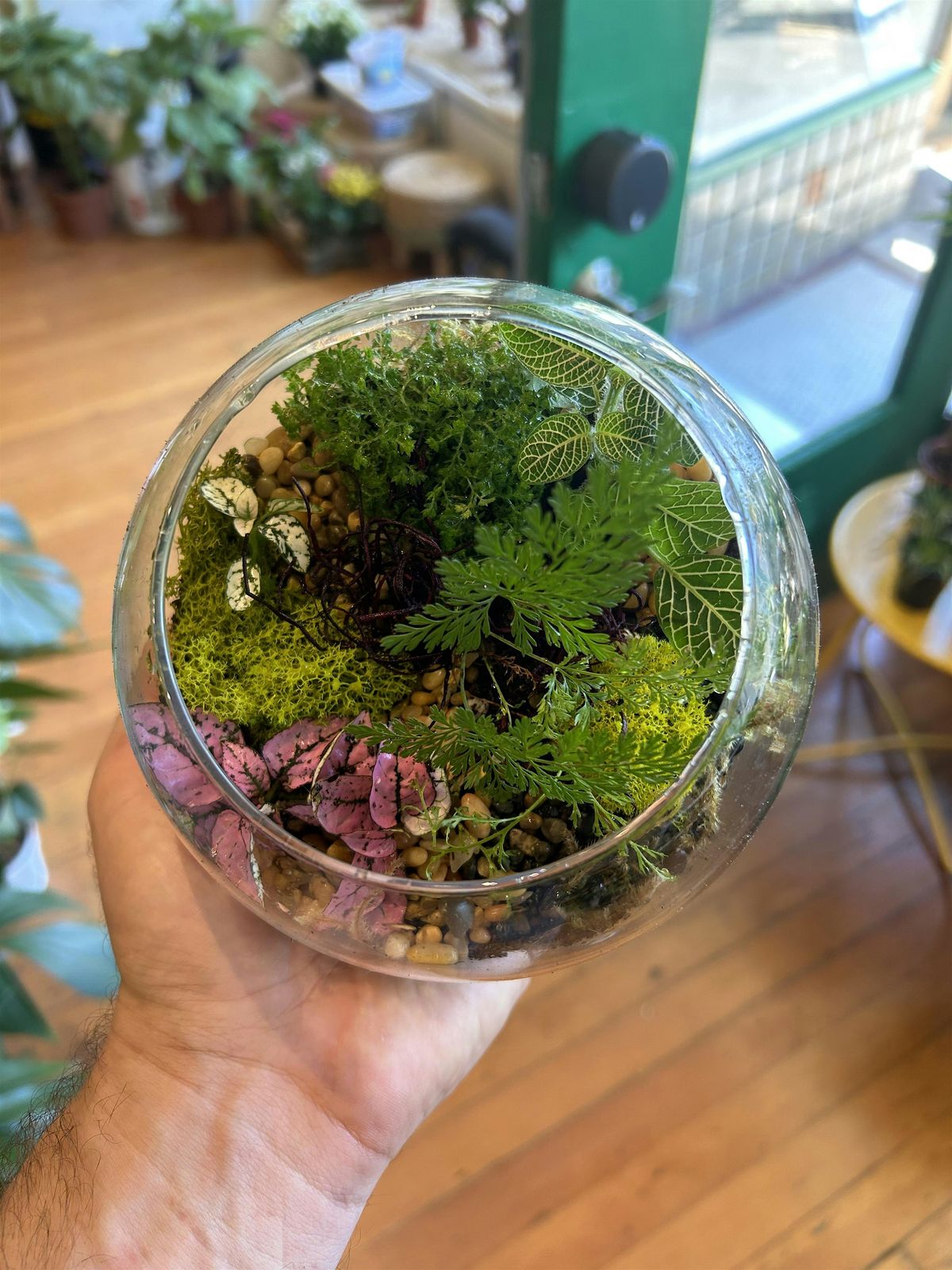 Terrarium Building, 20 December | Event in San Francisco | AllEvents