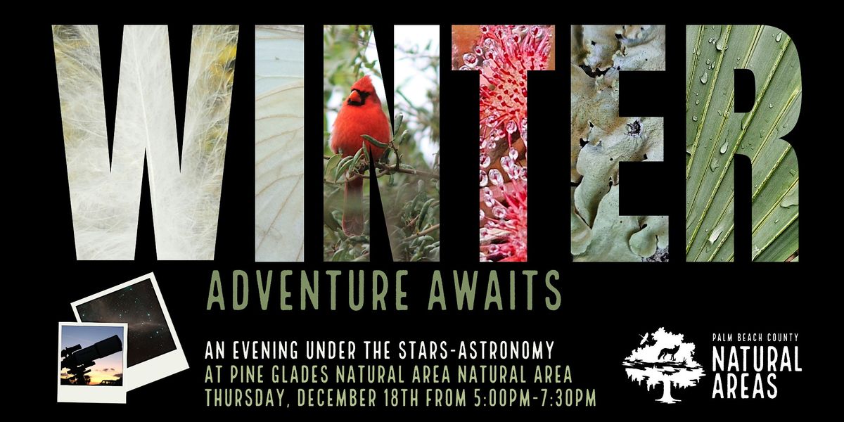 Adventure Awaits - An Evening Under the Stars - Astronomy, 18 December | Event in Jupiter | AllEvents