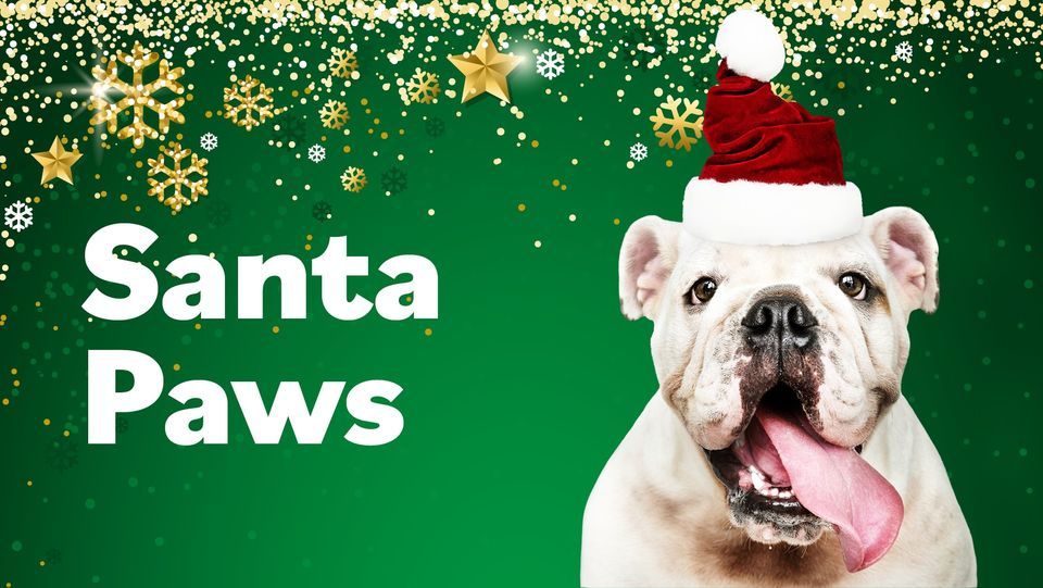 Santa Paws Pet Photography, Floreat Forum, Joondalup, 10 December 2023