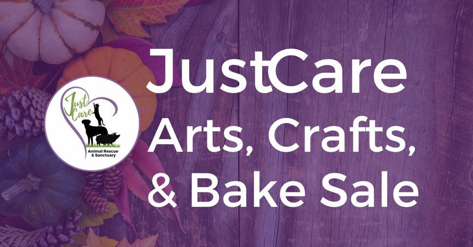 JustCare Arts, Crafts, & Bake Sale, The Feed Bin, Rochester, December 2