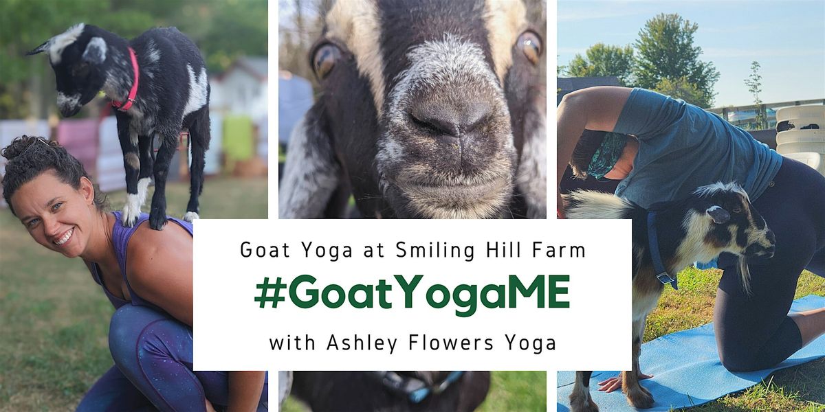 Goat Yoga - 2026, 29 May | Event in Westbrook | AllEvents