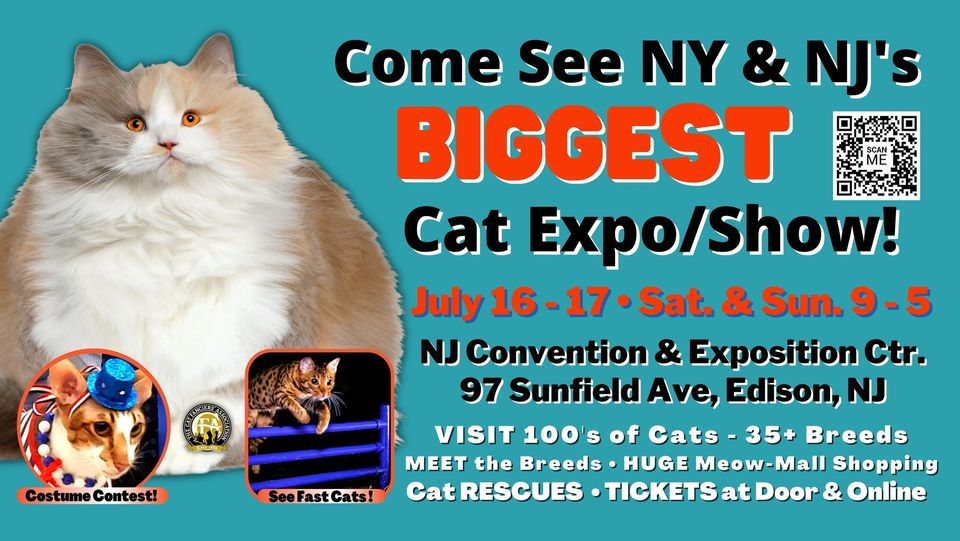 Come SEE NY & NJs BIGGEST Cat Expo/Show! | New Jersey Convention and