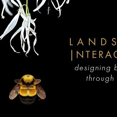 Landscape Interactions