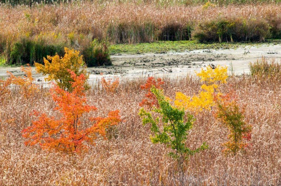 Salem Woods October Walk, Olde Salem Greens Golf Course, October 1 2022